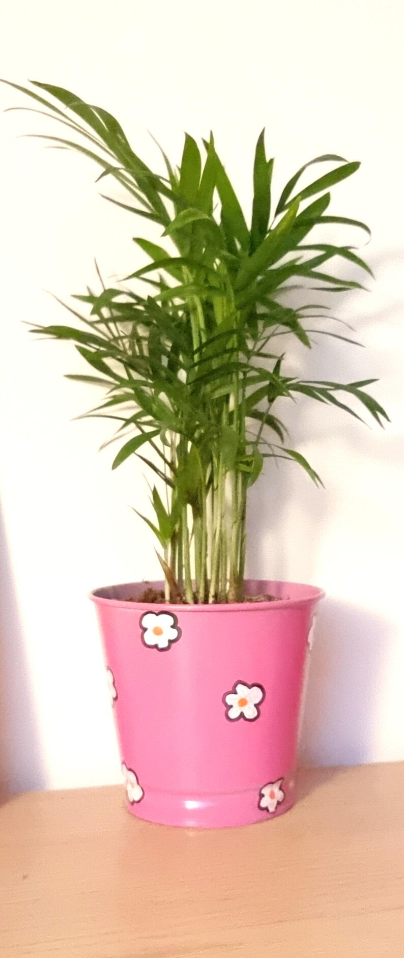 Pot de fleur décoré de paillettes
